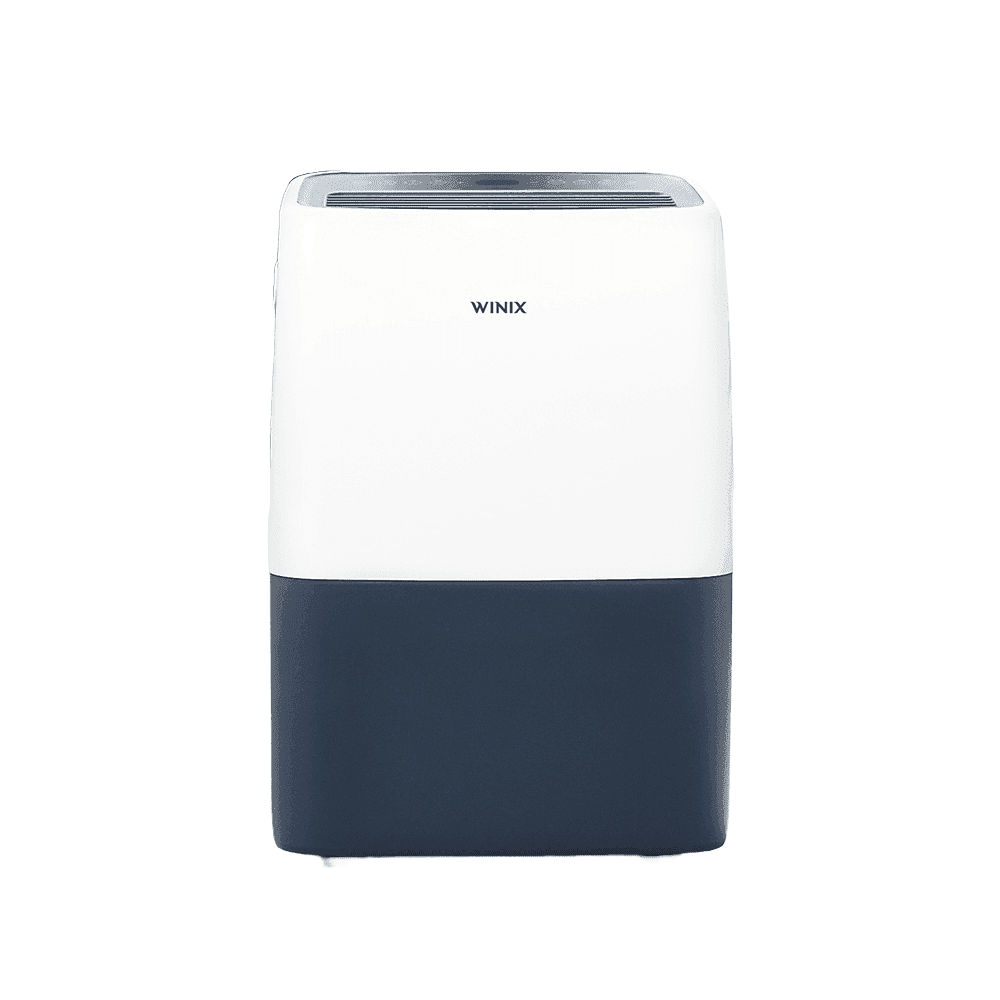 위닉스 DXTE100-KWK 10L, 화이트